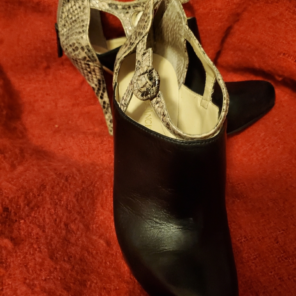 Enzo Angiolini